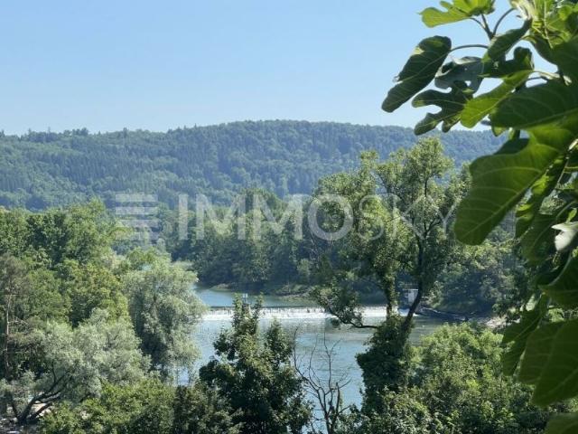 Einfamilienhaus kaufen in Umiken, Aargau