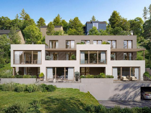 Wohnung kaufen in Seon, Aargau