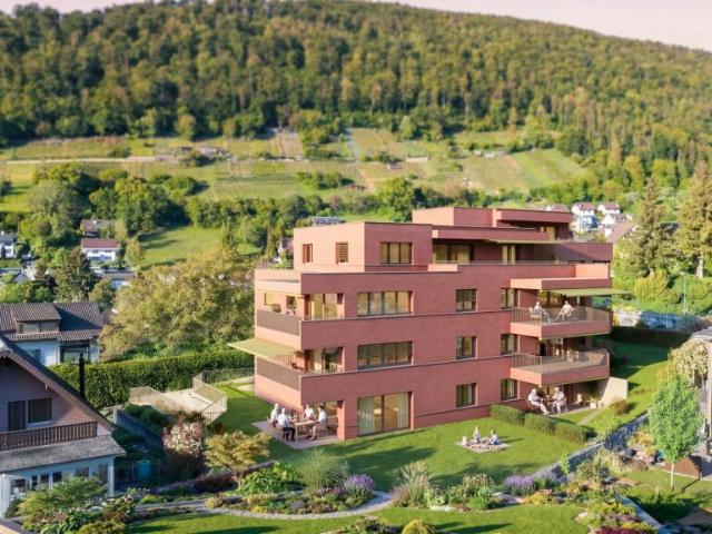 Immobilie kaufen in Oberdorf (BL), Basel-Landschaft
