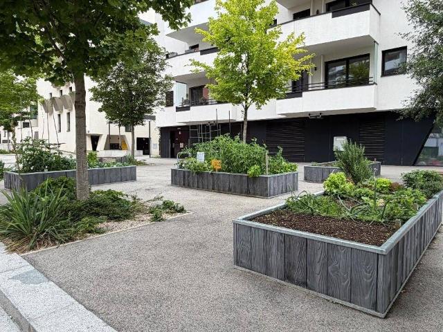 Apartment mieten in Donaustadt, Wien