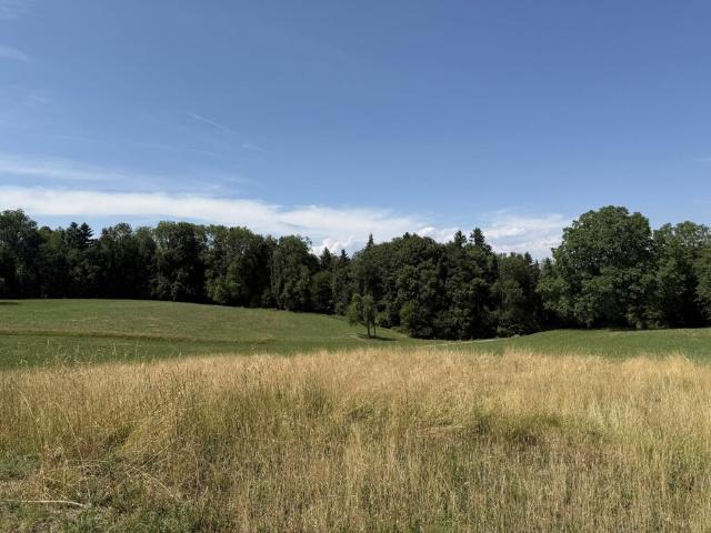 Immobilie kaufen in Amlikon-Bissegg, Thurgau