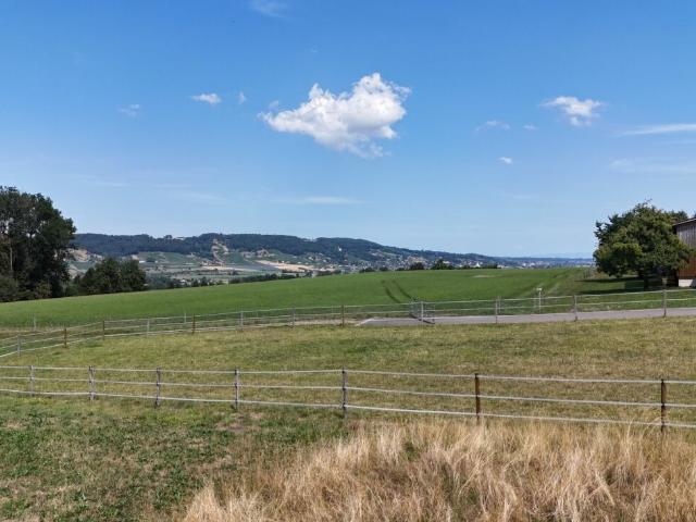 Reihenfamilienhaus kaufen in Amlikon-Bissegg, Thurgau