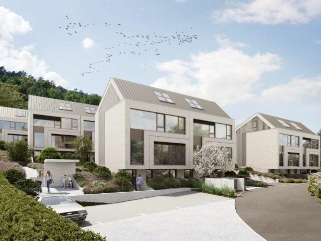 Einfamilienhaus kaufen in Rodersdorf, Solothurn