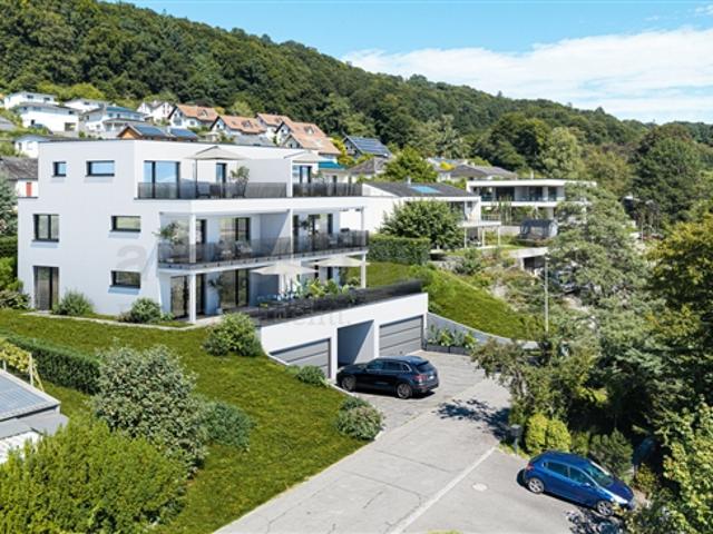 Einfamilienhaus kaufen in Uhwiesen, Zürich