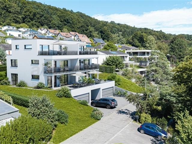 Einfamilienhaus kaufen in Uhwiesen, Zürich