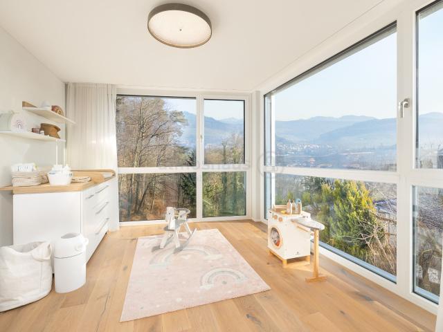 Einfamilienhaus kaufen in Uhwiesen, Zürich