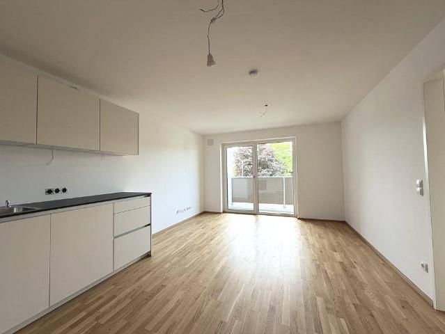 Apartment mieten in Lustenau, Vorarlberg