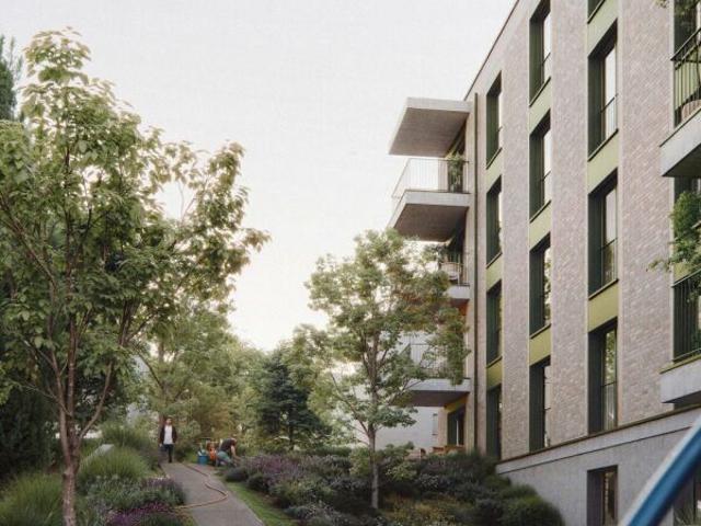Wohnung mieten in Schwarzenbach (SG), St. Gallen