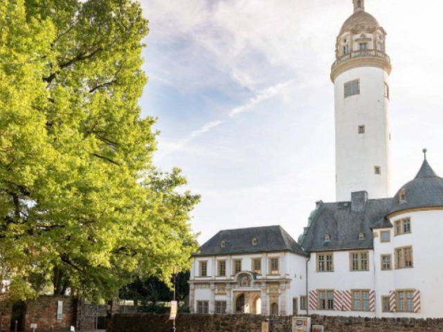 Haus kaufen in Höchst, Vorarlberg