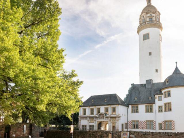 Immobilie kaufen in Höchst, Vorarlberg