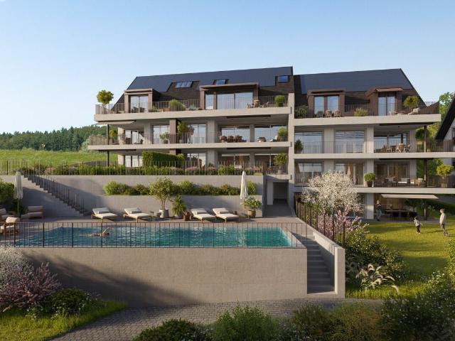 Wohnung kaufen in Raperswilen, Thurgau