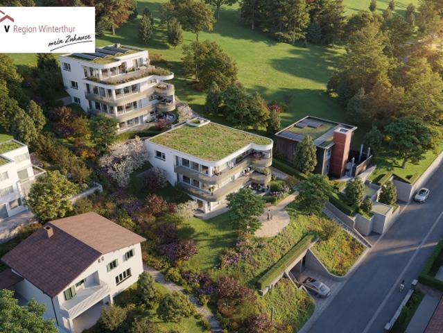 Wohnung kaufen in Oberfeld, Winterthur