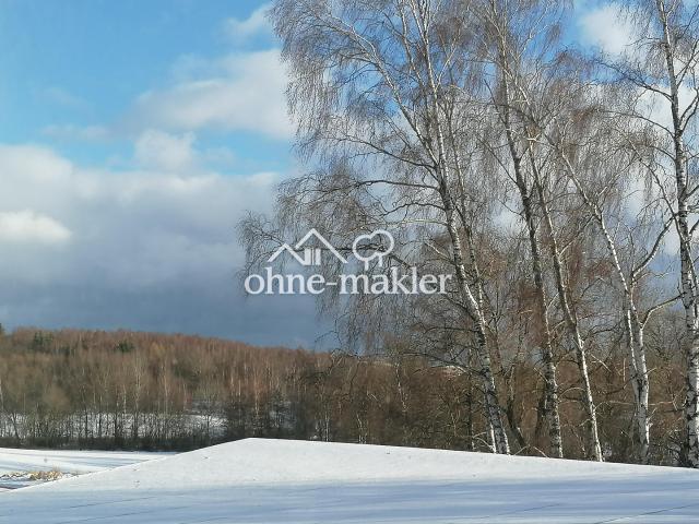 Haus kaufen in Hof, Bayern