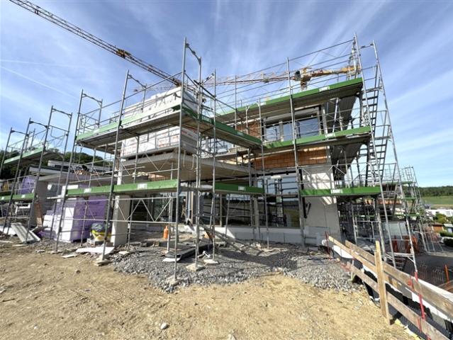 Einfamilienhaus kaufen in Tegerfelden, Aargau
