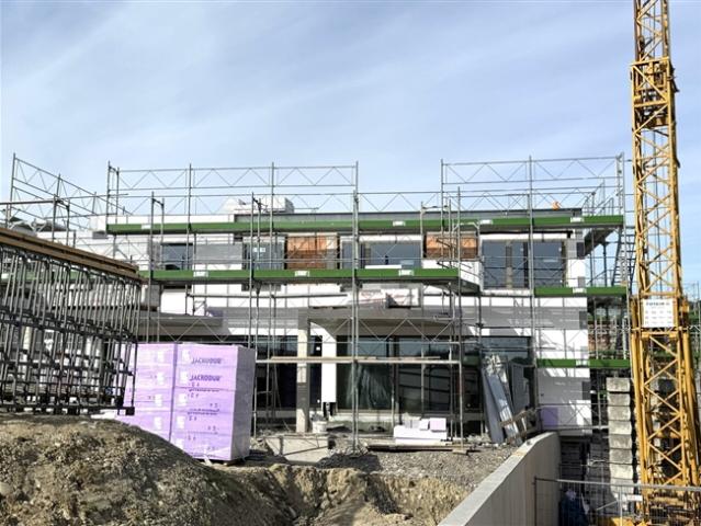 Einfamilienhaus kaufen in Tegerfelden, Aargau