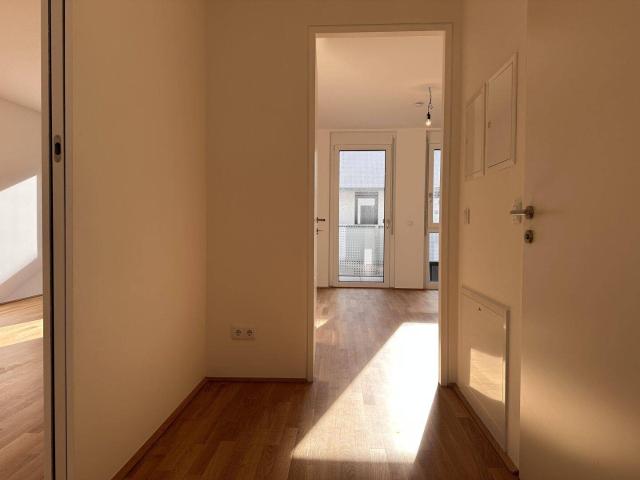 Apartment kaufen in Liesing, Wien
