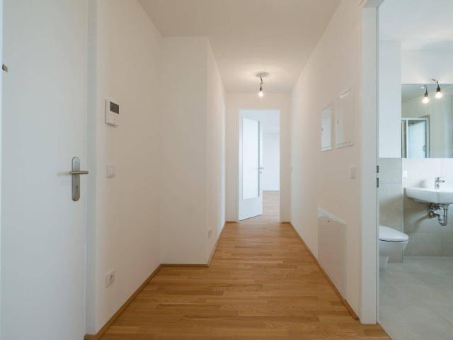 Apartment kaufen in Liesing, Wien