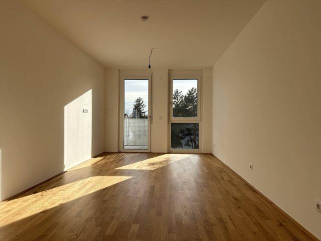 Apartment kaufen in Liesing, Wien
