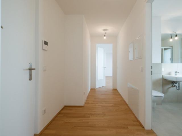 Terrassenwohnung kaufen in Liesing, Wien