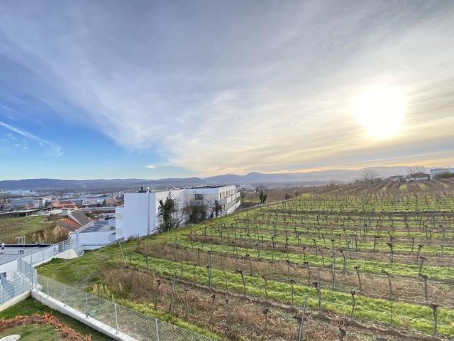 Apartment mieten in Am Steindl, Krems an der Donau