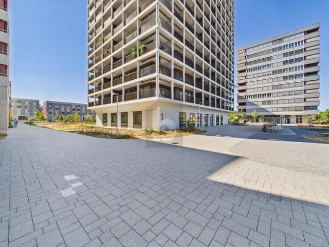 Atelier mieten in Aesch (BL), Basel-Landschaft