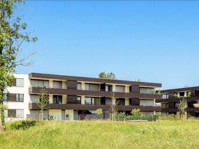 Apartment kaufen in Höchst, Vorarlberg