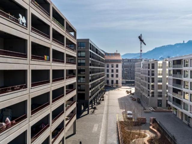 Apartment mieten in Einigen, Zürich
