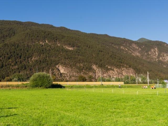 Gewerbe kaufen in Pölling, Kappel am Krappfeld
