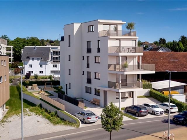 Wohnung kaufen in Menziken, Aargau