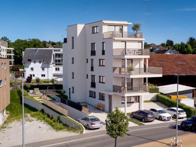 Wohnung kaufen in Menziken, Aargau
