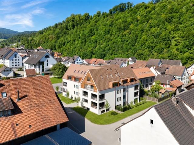 Büro kaufen in Hölstein, Basel-Landschaft