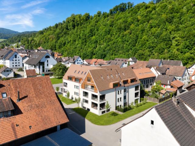 Immobilie kaufen in Hölstein, Basel-Landschaft
