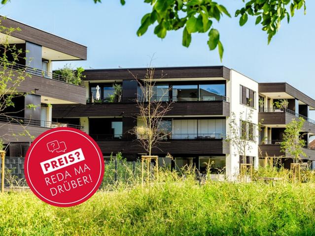 Apartment kaufen in Höchst, Vorarlberg