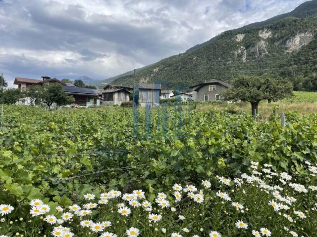 Einfamilienhaus kaufen in Sierre, Wallis