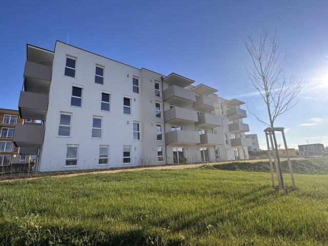 Apartment mieten in Hagenberg im Mühlkreis, Oberösterreich