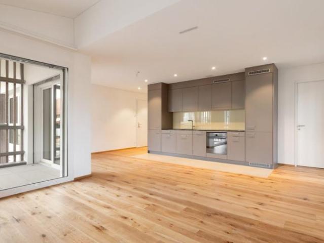 Apartment mieten in Endhöri, Höri