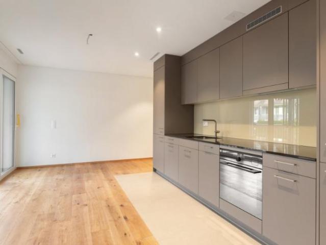 Apartment mieten in Endhöri, Höri