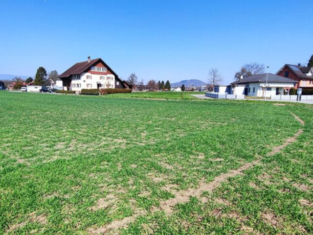Immobilie kaufen in Meiningen, Vorarlberg