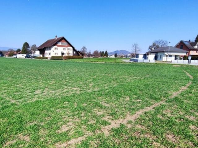 Doppelhaushälfte kaufen in Meiningen, Vorarlberg
