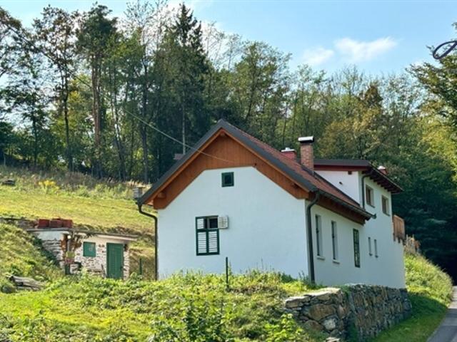 Villa kaufen in Lockenhaus