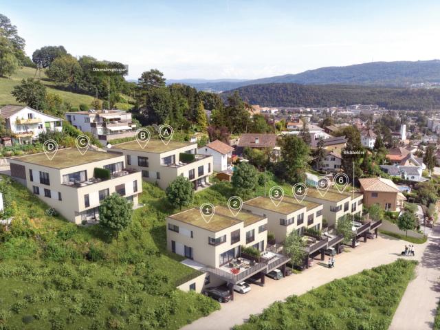 Einfamilienhaus kaufen in Trimbach, Solothurn