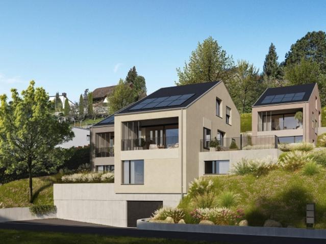 Einfamilienhaus kaufen in Niederweningen, Bezirk Dielsdorf