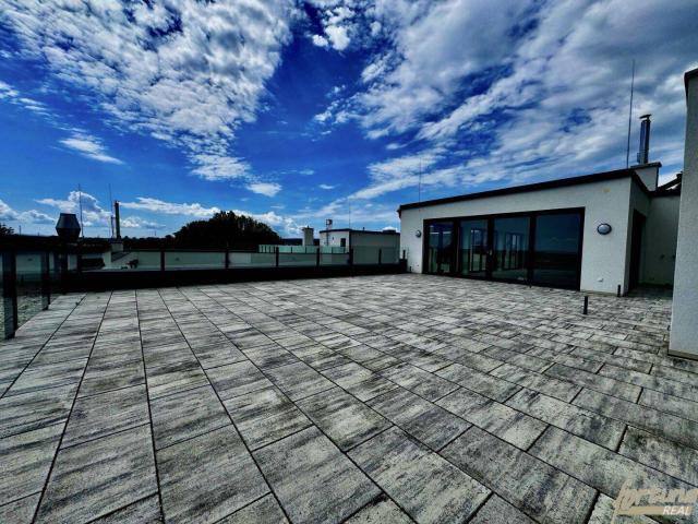 Apartment kaufen in Leobersdorf, Niederösterreich