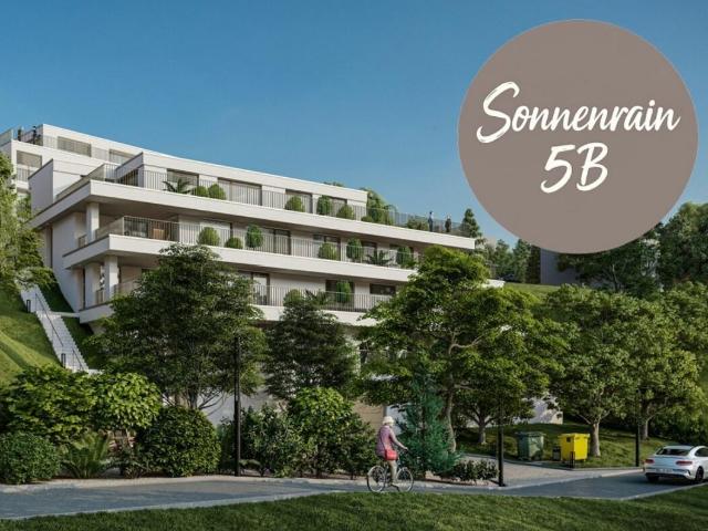 Wohnung kaufen in Döttingen, Aargau