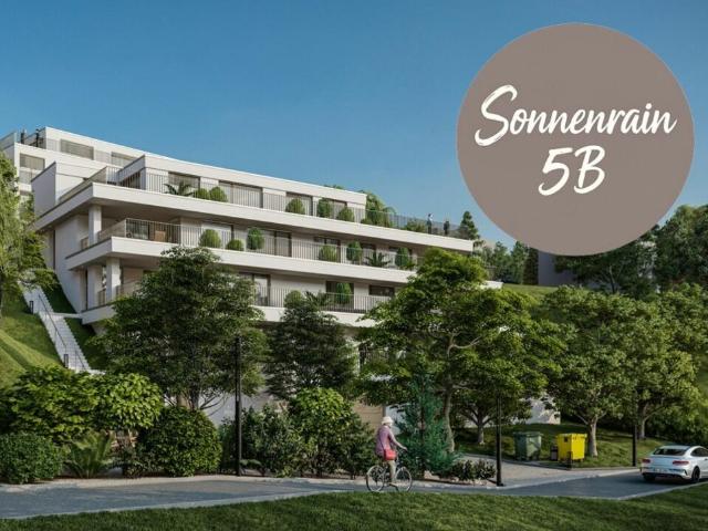 Terrassenwohnung kaufen in Döttingen, Aargau