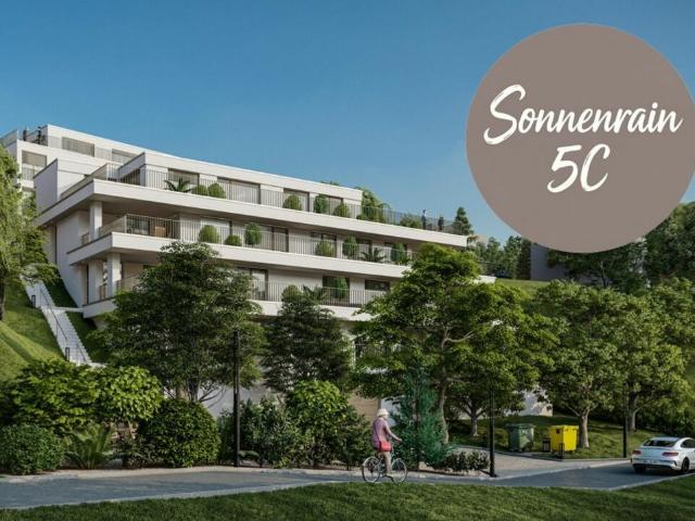 Terrassenwohnung kaufen in Döttingen, Aargau