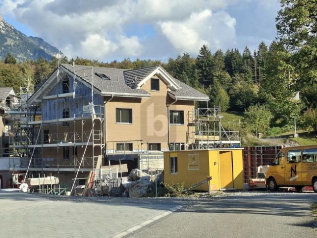 Einfamilienhaus kaufen in Seelisberg (Oberdorf), Seelisberg