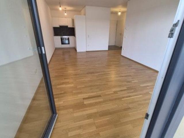 Apartment mieten in Rittersfeld, Traismauer