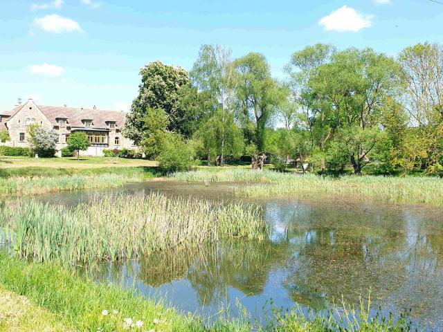 Wohnung mieten in Klosternaundorf, Allstedt