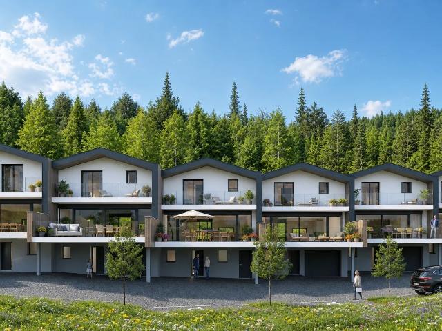 Wohnung kaufen in Vex, Wallis